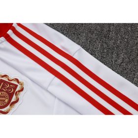Kids Bayern Munich 2025/26 Half-Zip Sweater+Pant 815 - Image 7