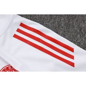 Kids Bayern Munich 2025/26 Half-Zip Sweater+Pant 815 - Image 6
