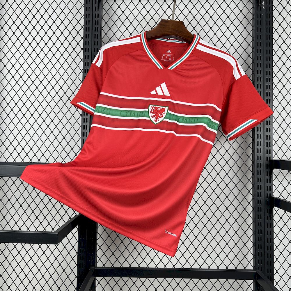 2025112714565579.jpg Mens Wales 2026 World Cup Home Jersey - Image 1